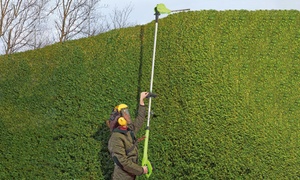 Telescopic Cordless Hedge Trimmer