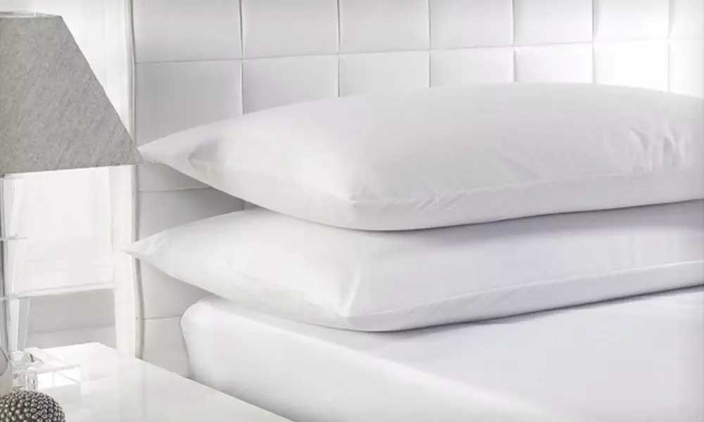Beauty Sleep 100% Cotton White Duck-Feather Pillows (2- or 4-Pack) - Primary Image