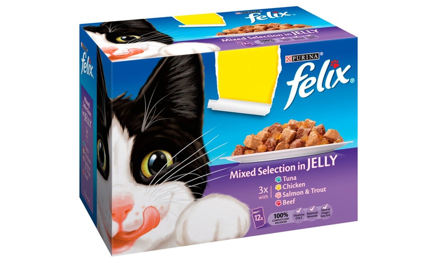 Image 1: Cat Food Selection in Jelly