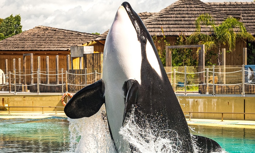 Image 9: Entrée au parc Marineland