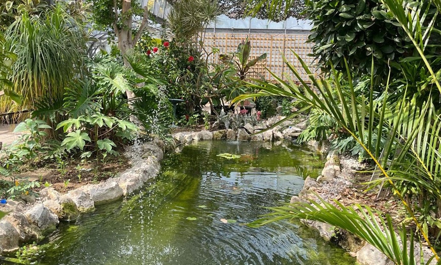 Image 9: Magic of London Butterfly Gardens with Entry for Adults and Children!