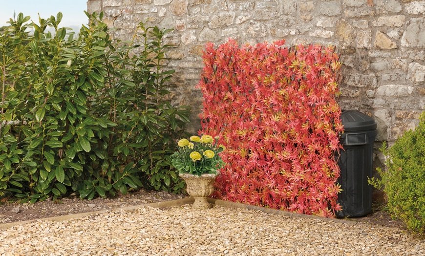 Image 9: Artificial Hedge Trellis