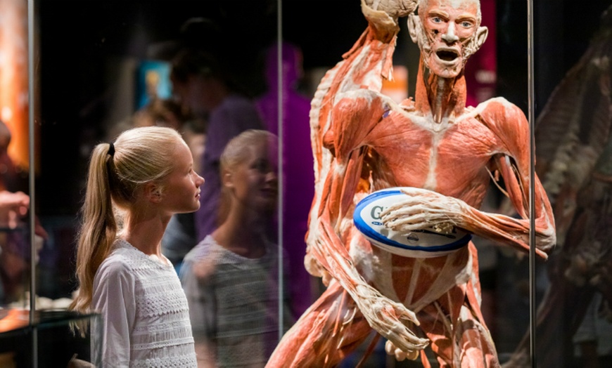 Image 4: Tickets BODY WORLDS Amsterdam