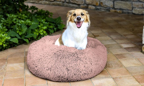 Cuccia Dreams per cani e gatti disponibile in 3 misure e 3 colori