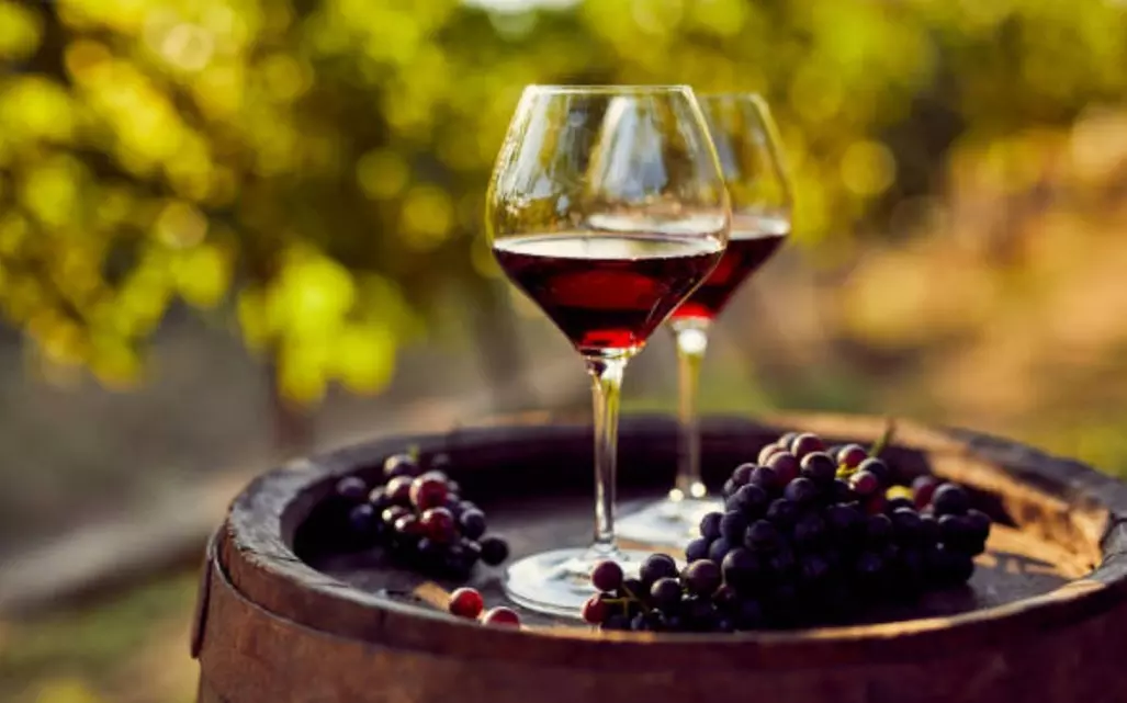 Visita a bodega más cata en Besalduch Valls And Bellmunt