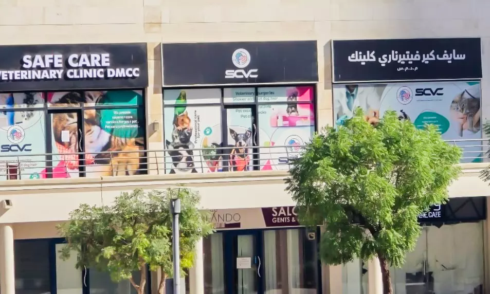 Comprehensive Pet Care with Dog/Cat Medical Check Up & Vaccinations @ Safe Care Vet in JLT (Up to 57% Off) - Image 4