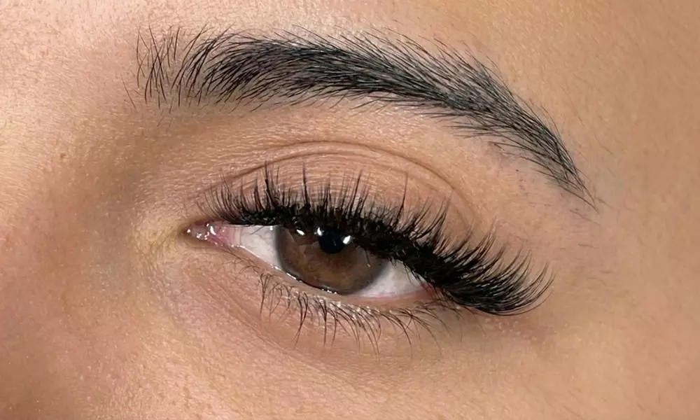 Classic or Hybrid Lash Extensions or Lash 2 Week Touch-up Session