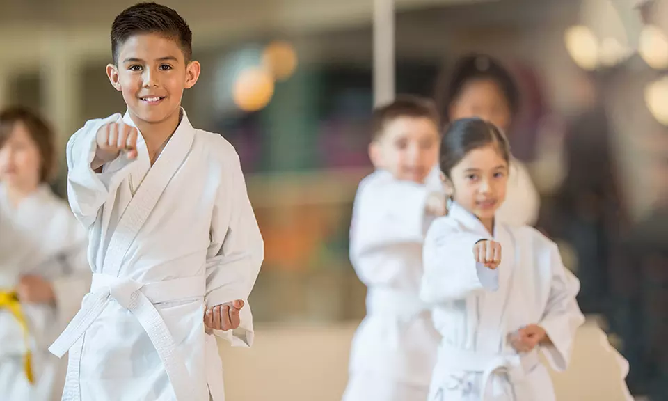 Unlimited Virtual Introductory Children's Martial Arts Classes for 1 or 2 from Sirota's Alchymy (Up to 52% Off) - Primary Image
