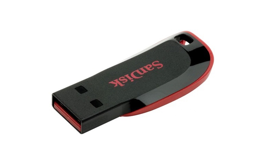 Image 4: SanDisk USB Sticks