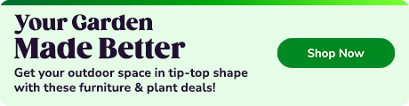 Groupon
