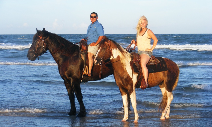 Horses on the Beach: Corpus Christi in - Corpus Christi, TX | Groupon