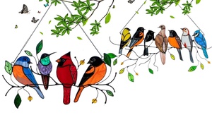 Multicoloured Birds Art Ornament Decoration