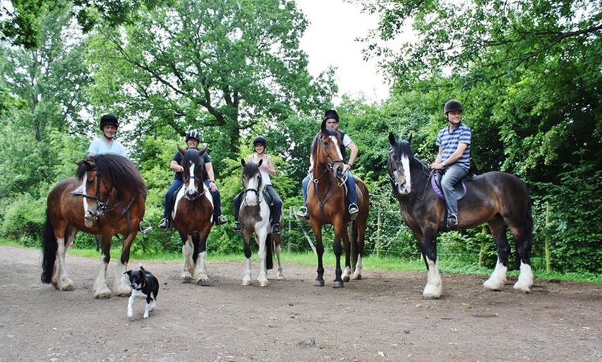 Image 10: Individual or Group Horse Riding