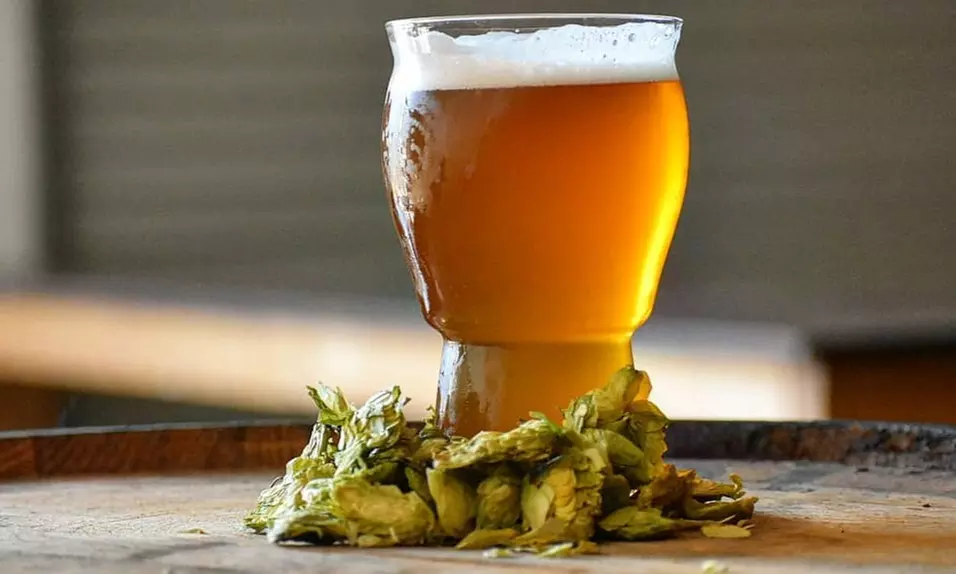 Beer Flights and Pints for Two, Three, or Four at Sanctum Brewing Co. (Up to 44% Off) - Primary Image