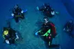 Bautismo de buceo para 1 o 2 personas con Buceo Pandora - Second Medium