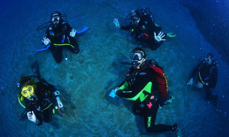 Image 4: Bautismo de buceo para 1 o 2 personas con Buceo Pandora