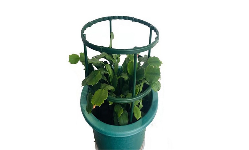 Image 5: 6- or 12-Piece Plastic Plant Support Pile Stands