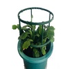 Image 5: 6- or 12-Piece Plastic Plant Support Pile Stands