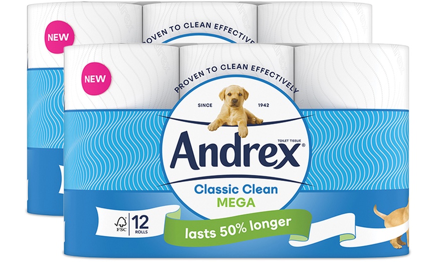 Image 4: Andrex Classic Clean Mega Toilet Rolls and Classic Clean Washlets