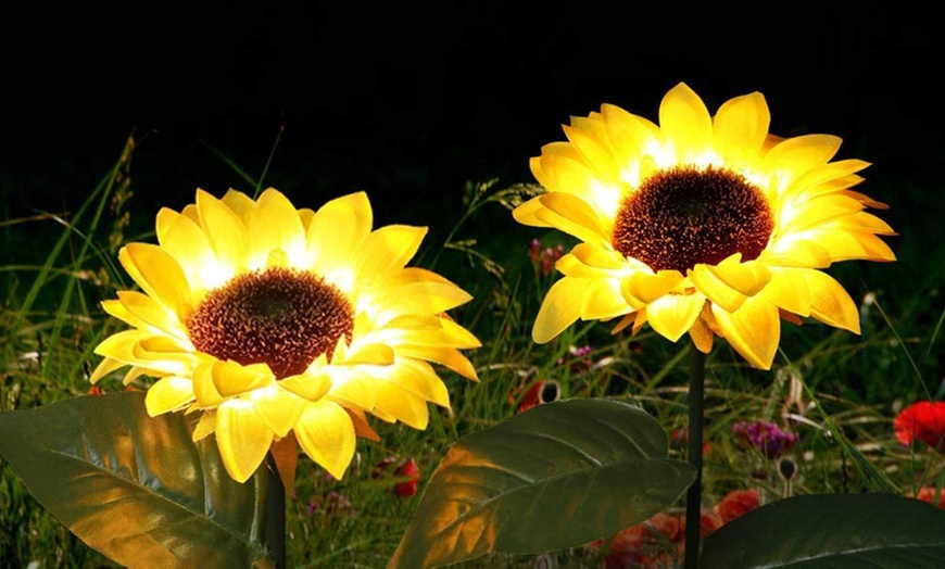 Image 1: Two or Four Packs of Solar Powered Garden Decorations Sunflower Lights