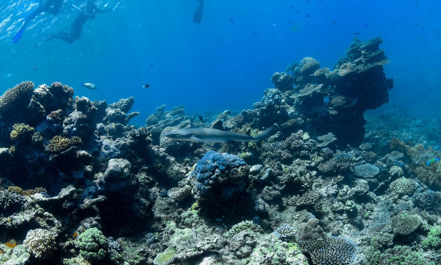 Image 4: Open Water Scuba Diver course at Goblin Diving Center