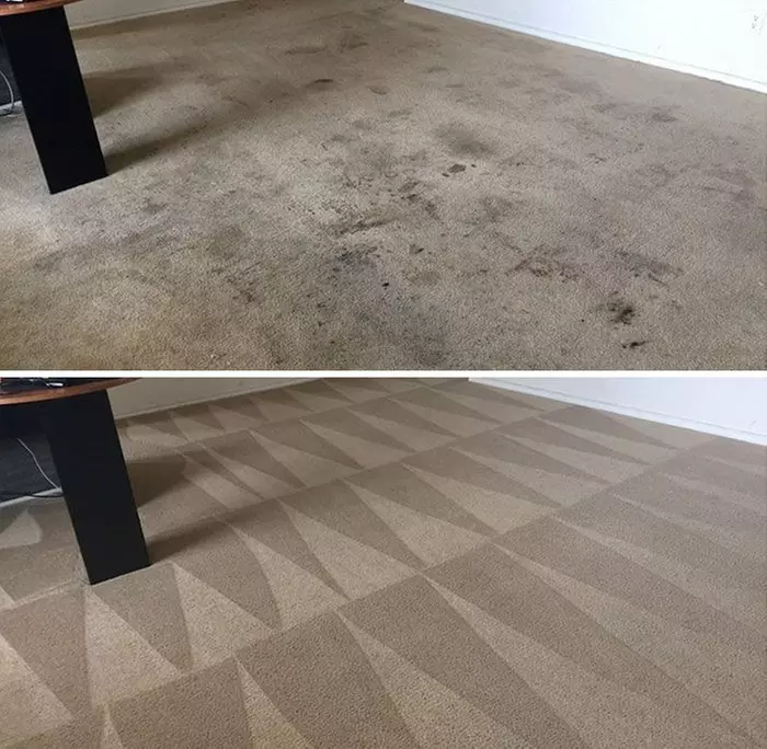 Basic Steam Cleaning services at Elite Carpet Care(Up to 60% Off) - Second Medium