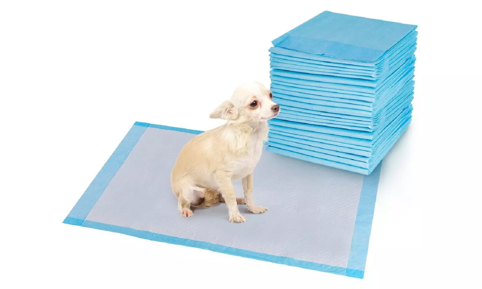 24''x36'' Puppy Training Pads (150-Pack) - Primary Image