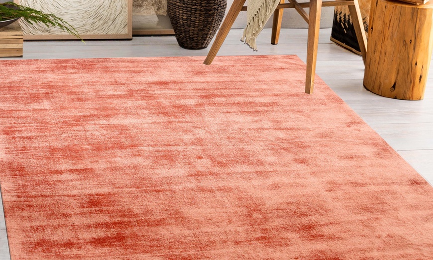 Image 20: Tapis en viscose effet usé