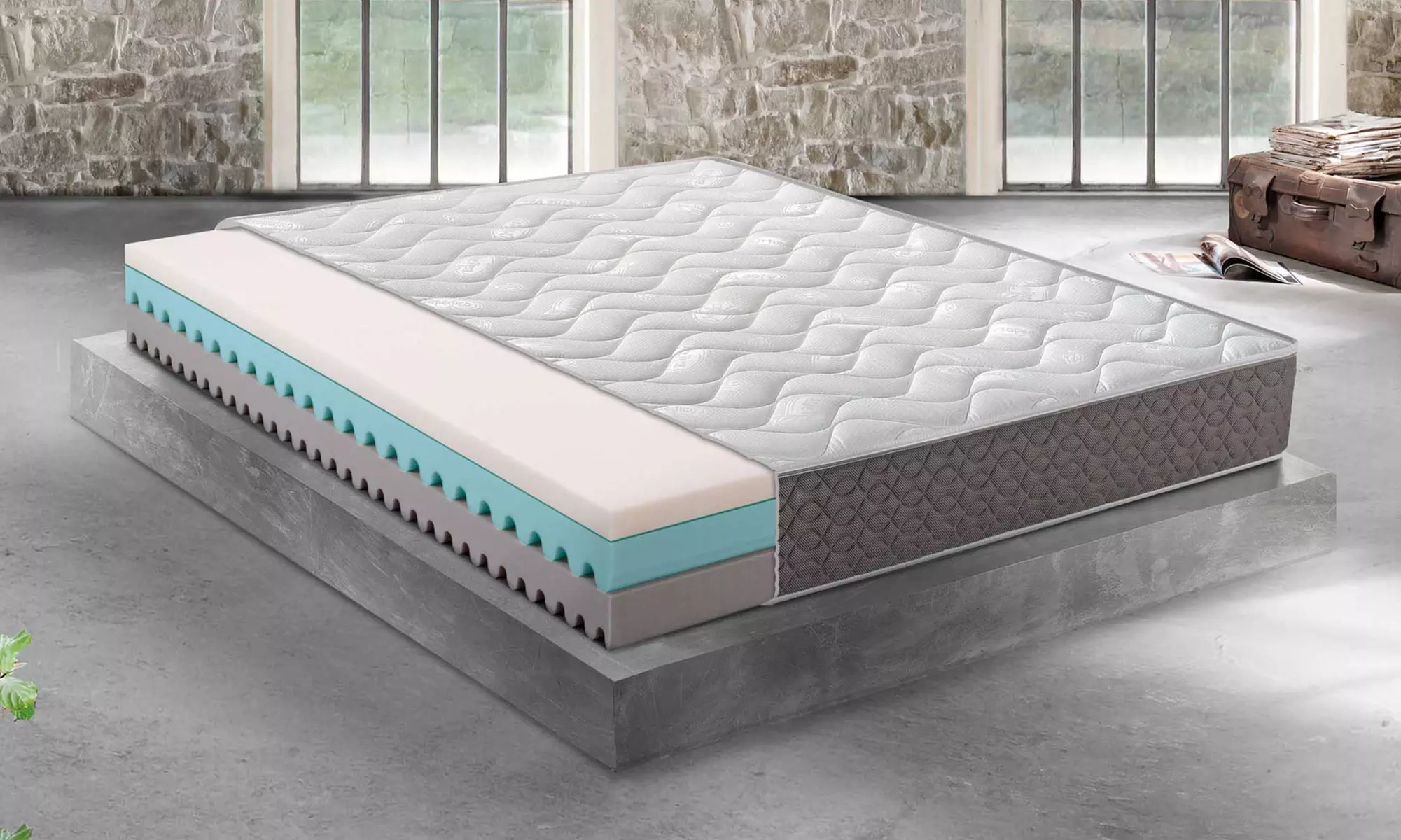 Matelas à mémoire de forme BioEco Plus Med Mentor 25 cm, dimensions au choix, livraison offerte - Primary Image