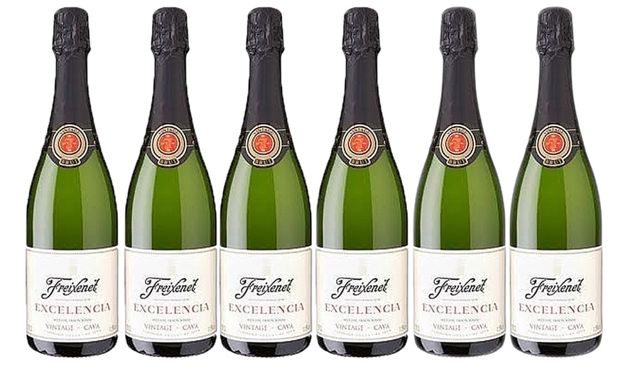 Image 2: 12 bottles of Cava Brut Wine