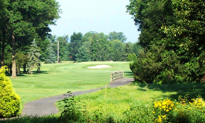 Round of Golf with Cart on Ambassador Course for One, Two, or Four at ...