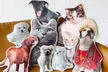 3-D-Fotokissen mit selbstgewähltem Haustiermotiv von Justyling (bis zu 74% sparen*) - Image 2