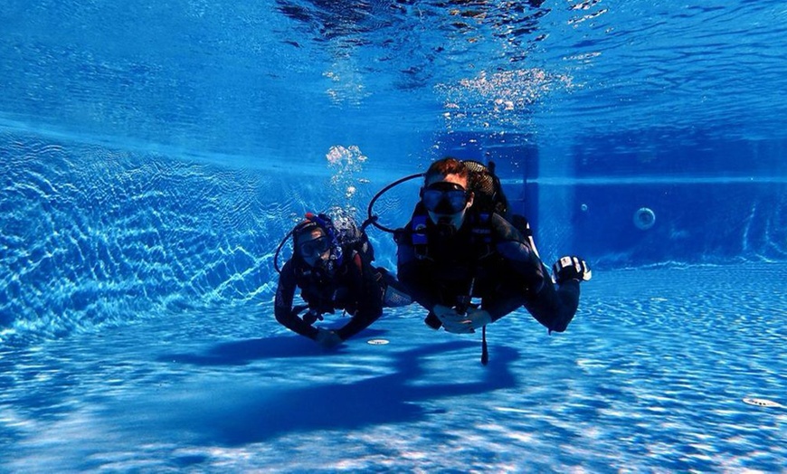 Image 3: Two-Hour Kids Diving Course or SSI or PADI Open Water Diving Course