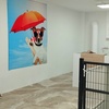 Image 2: 1, 2 o 7 noches a elegir en Hotel Canino Pet Center para tu mascota