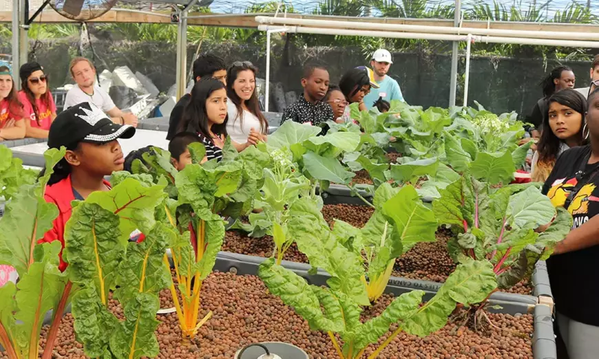 Aquaponic & Garden Tour: Family (6), Club (7–12), or School Groups