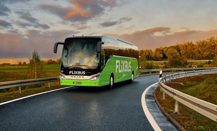 Image 3: 10% Rabatt FlixBus / FlixTrain