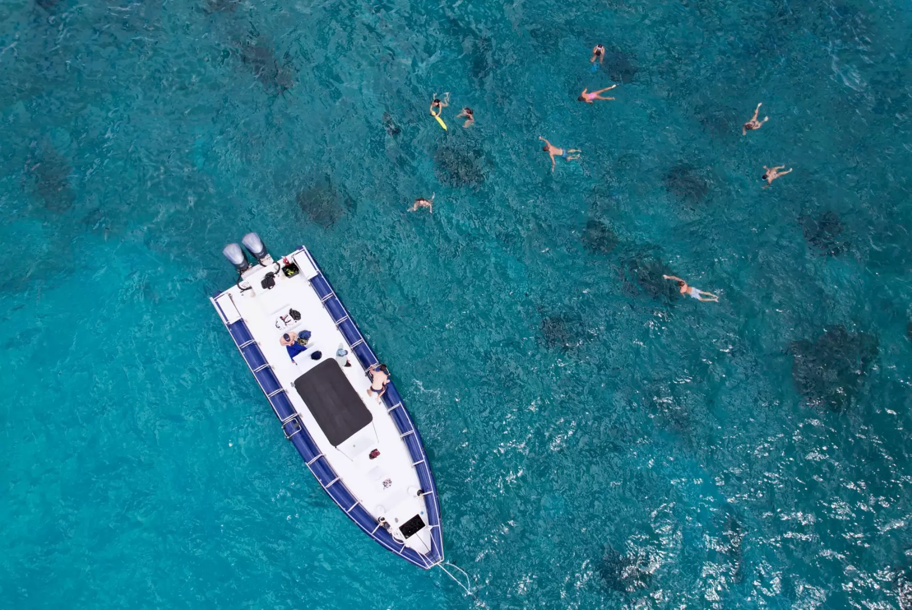 Experience the Wonders of Hawaii's Pristine Waters!
