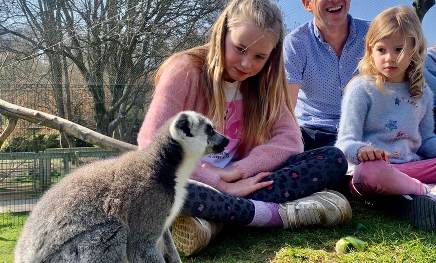 Beale Wildlife Park in - Pangbourne | Groupon