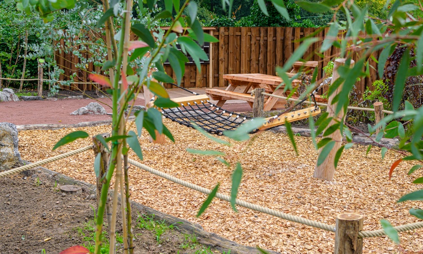 Image 14: Einzigartig wild: Tageskarten für den Zoo Duisburg