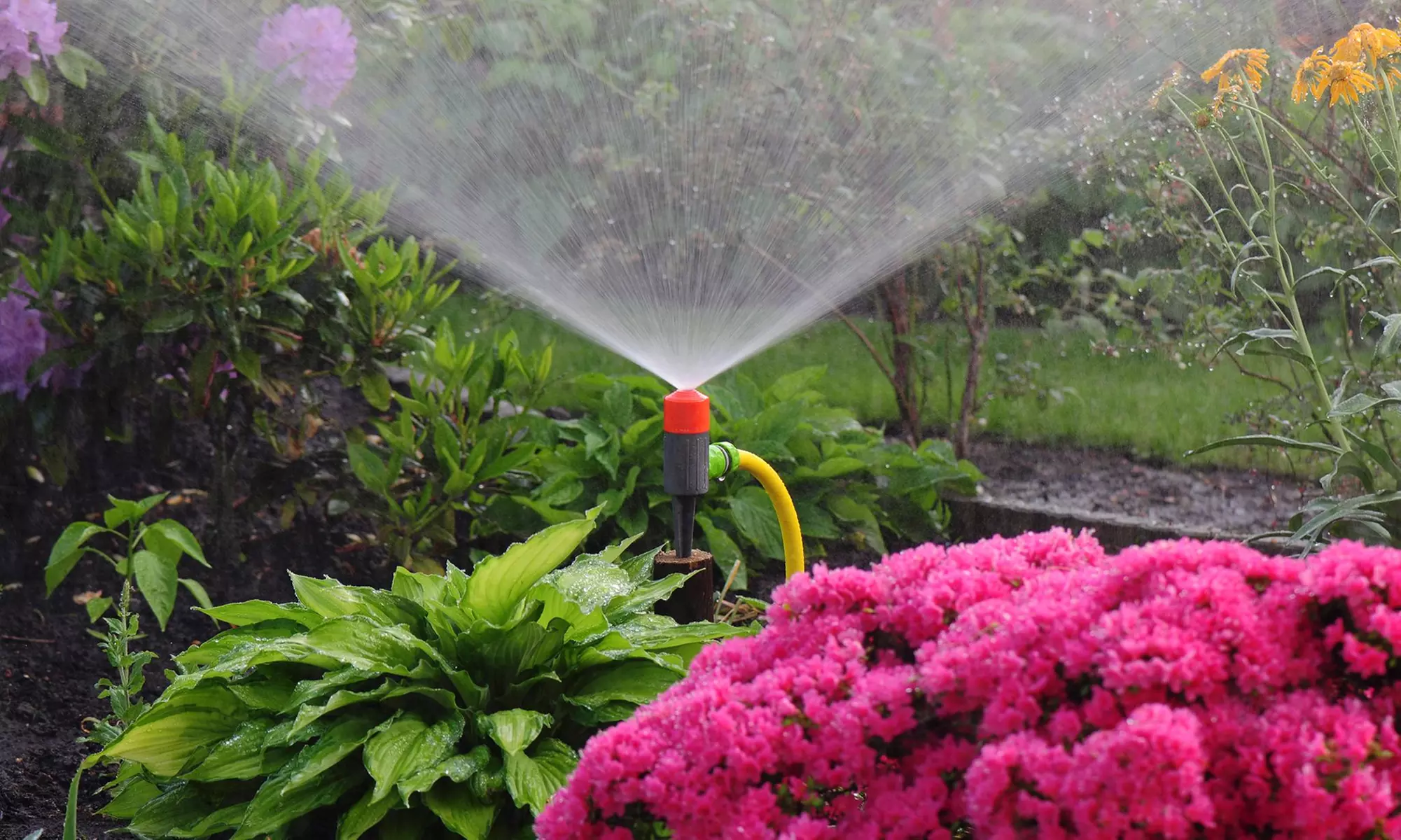 $539 for $998 Worth of Services — 399 Sprinklers - Primary Image