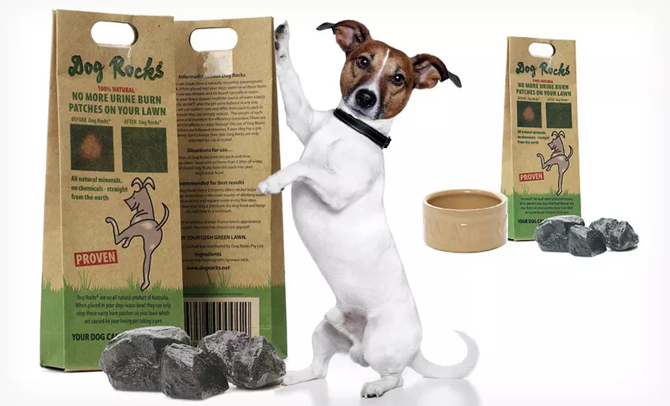 $9.99 for Dog Rocks Water Treatment ($16.99 List Price). Free Returns. - Primary Image