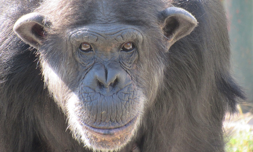 Image 7: Zoo de Fréjus : les animaux comme vous ne les avez jamais vus !