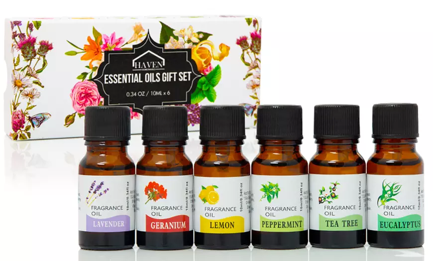 Image 1: Coffret 6 huiles Haven