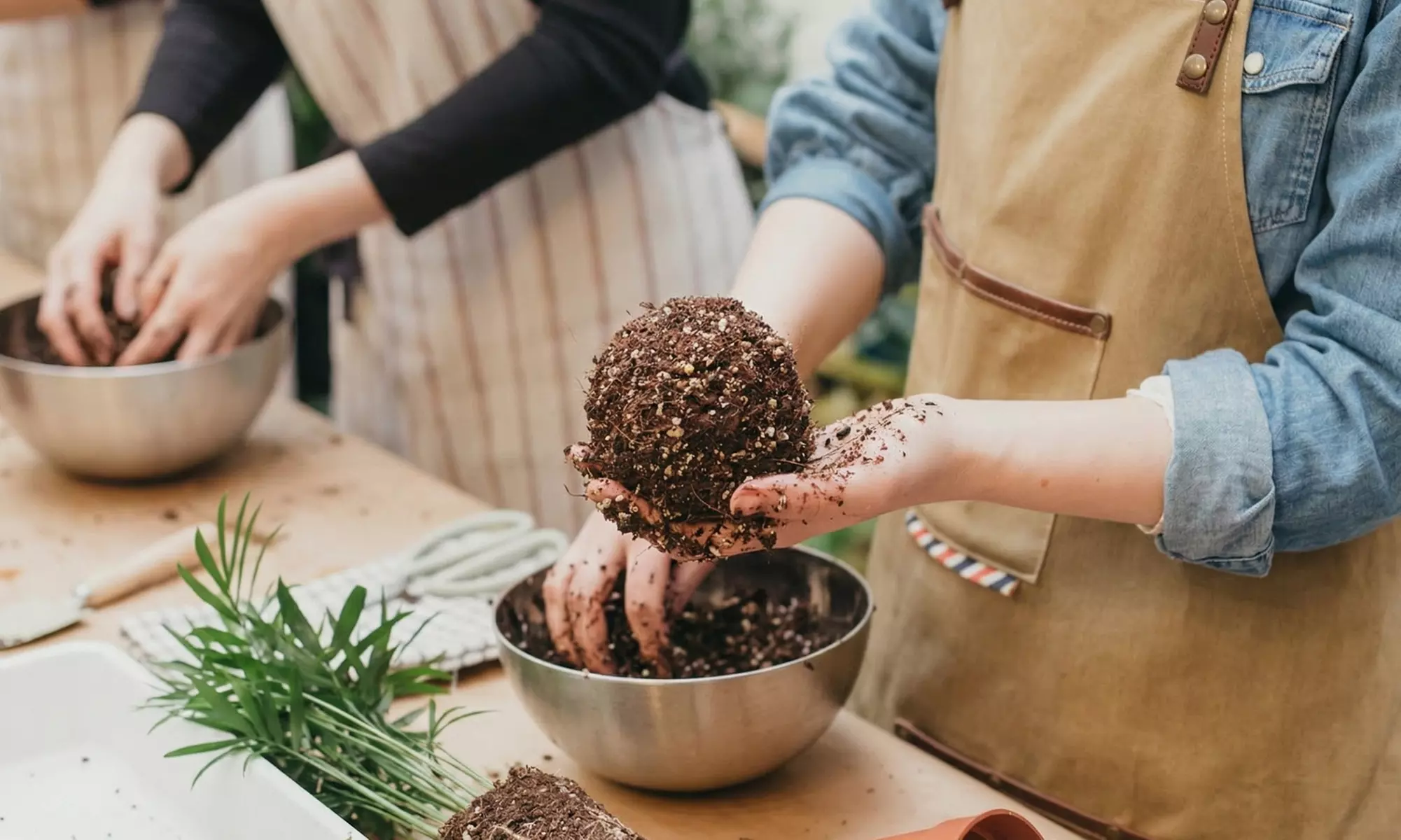 Taller de Kokedama o cuidado de plantas para 1 o 2 personas