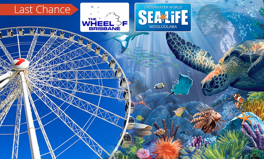 Image 1: Wheel of Brisbane + SEALIFE Combo