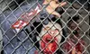 Haunted-House Outing for Two Including Two Tickets at Devil's Haven in Wheaton. Three Ticket Options Available.