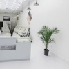 Image 1: Manicure/Pedicure & Mani-Pedi, Wine & Cookies, Optional Foot Massage