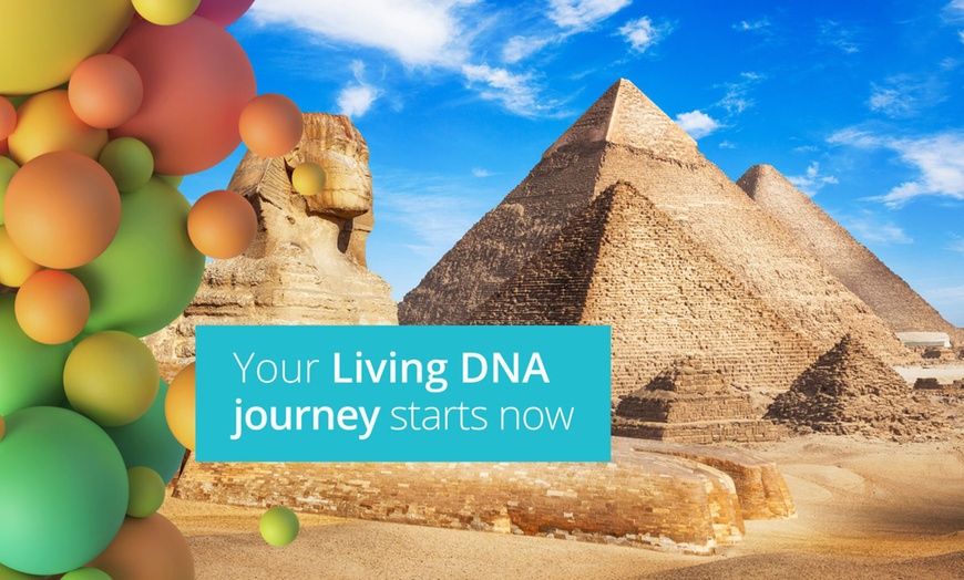 Image 4: Uncover Your Genetic Story: Discover Your Ancestry Adventure