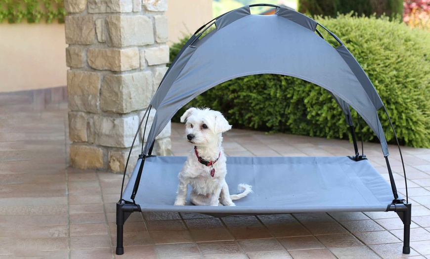 Image 1: Cama elevada para perros y gatos con techo