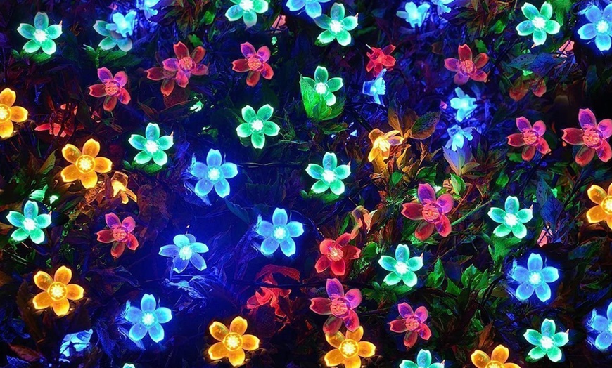 Image 11: 1x oder 2x Solar-Lichterkette im Blumen-Design